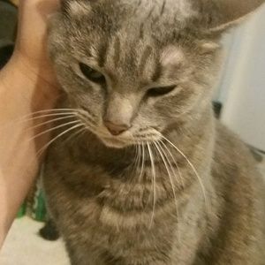 Meet your Posher, Robert